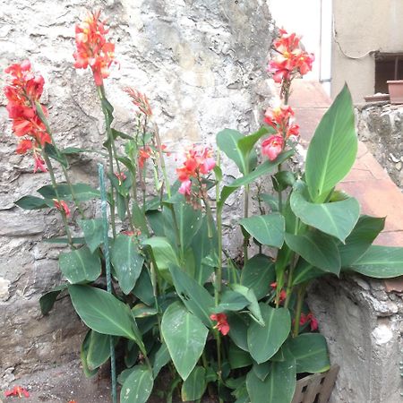 La Terrasse Du Mole Daire Sète Dış mekan fotoğraf